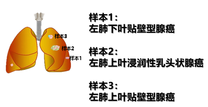不可貌相,头脑精明明渐失征帆错认云打一精准三肖与警惕虚假宣传-全面释义、时代解答解释落实